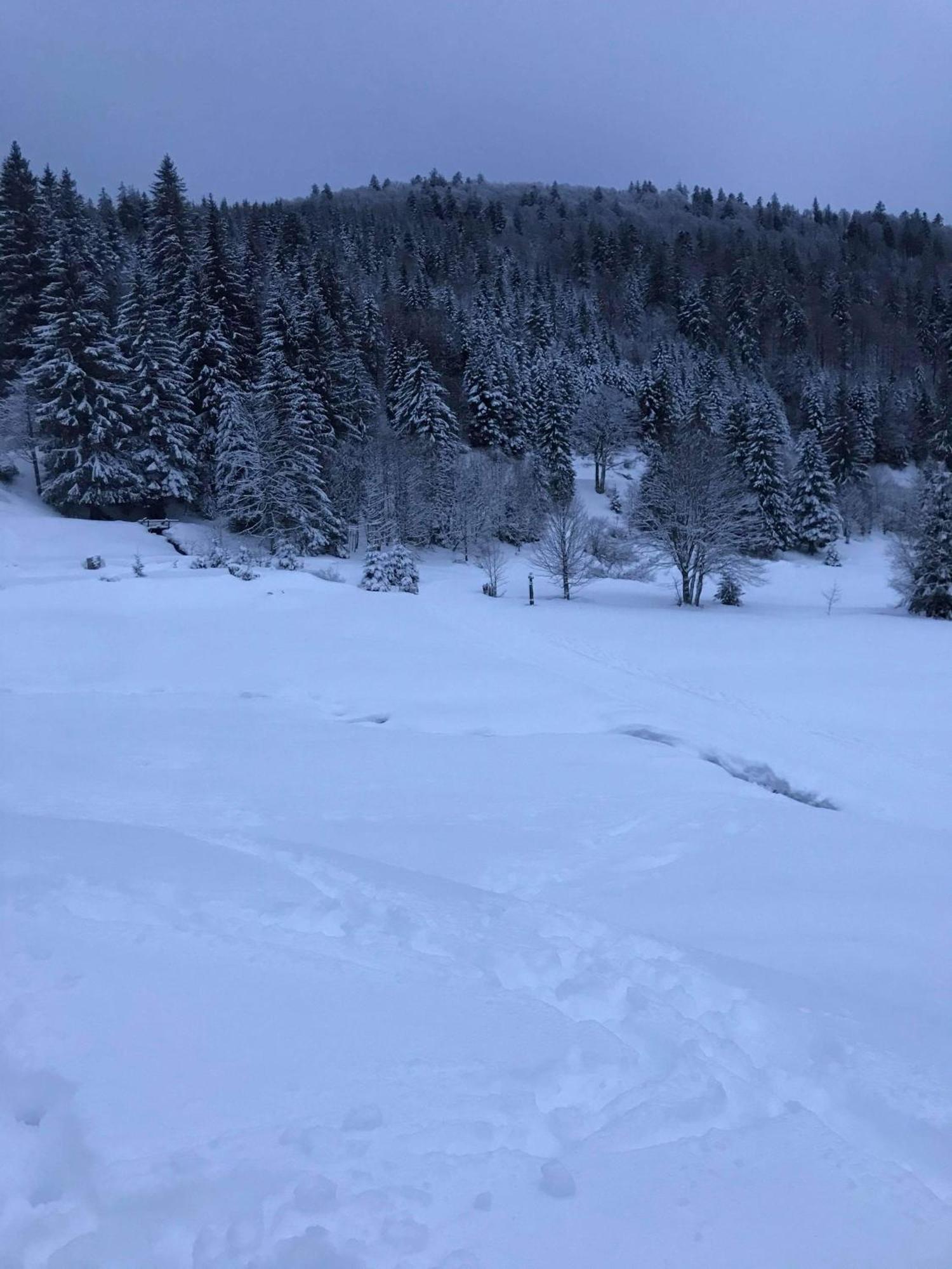 Bel appartement neuf équipé au pied des pistes La Bresse Extérieur photo